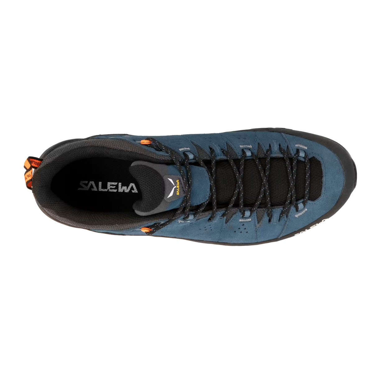 Salewa Alp Trainer 2