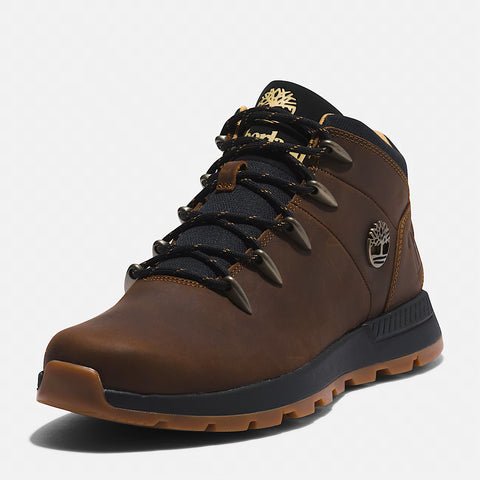Sprint Trekker Mid Cathay Spice