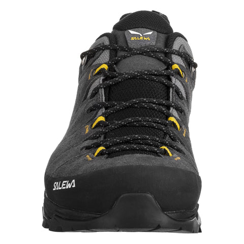 Alp Trainer 2 GTX M Onyx | Black